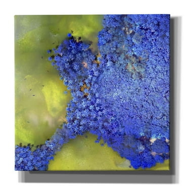 Epic Graffiti 'Earth as Art: Palmyra,' Canvas Wall Art, 26"x26"