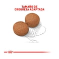 thumbnail image 2 of Alimento Para Perro Royal Canin Large Adulto 13.6kg, 2 of 4