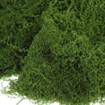 thumbnail image 3 of LITINKIMI Artificial Faux Moss Green Nylon 1 Bag For Garden And Office Environment, 3 of 8