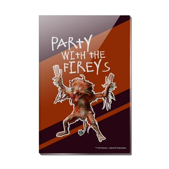 Party with the Fireys Labyrinth Rectangle Acrylic Fridge Refrigerator Magnet