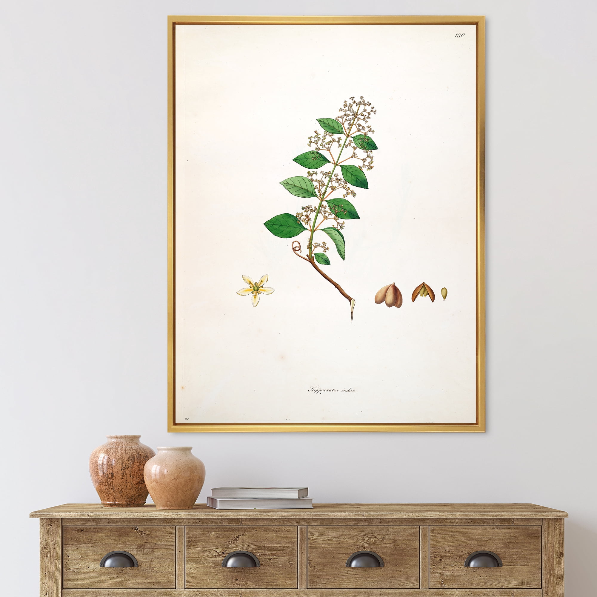 Designart 'Ancient Botanicals I' Farmhouse Framed Canvas Wall Art Print