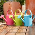 thumbnail image 3 of 1.5L Iron Watering Can Home Bonsai Plant Shower Tool Gardening Water Pot Sprinkled Kettle Garden Irrigation Spray Bottle Photo Props 11.4x9.3x4.9inches, 3 of 13