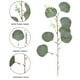 thumbnail image 2 of 24 tallos verdes de 13 pulgadas de alto, eucalipto falso con hojas falsas de dólar de plata, ramas de eucalipto con semillas artificiales para jarrones, centros de mesa, arreglos florales, decoración del hogar de la granja oso de fresa  Electrónica, 2 of 5