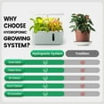thumbnail image 4 of LetPot MINI 5-Pod Hydroponics System - APP&WiFi Controlled Smart Indoor Garden with Grow Lights, Height Adjustable, Gardening Gift for Beginners, Green, 4 of 11
