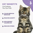 thumbnail image 4 of BestLife4Pets Pet Relax Cat Calming Anxiety Relief - Natural Supplement for Stress Relief, 400 Pills, 4 of 10