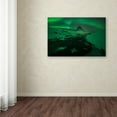 thumbnail image 3 of Trademark Fine Art 'The Green Planet' Canvas Art by Mathieu Rivrin, 3 of 3
