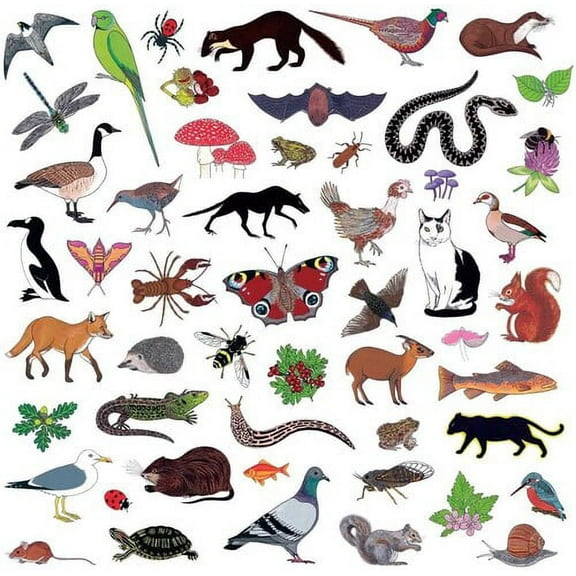 Modern Nature - Island of Noise - Music & Performance - CD