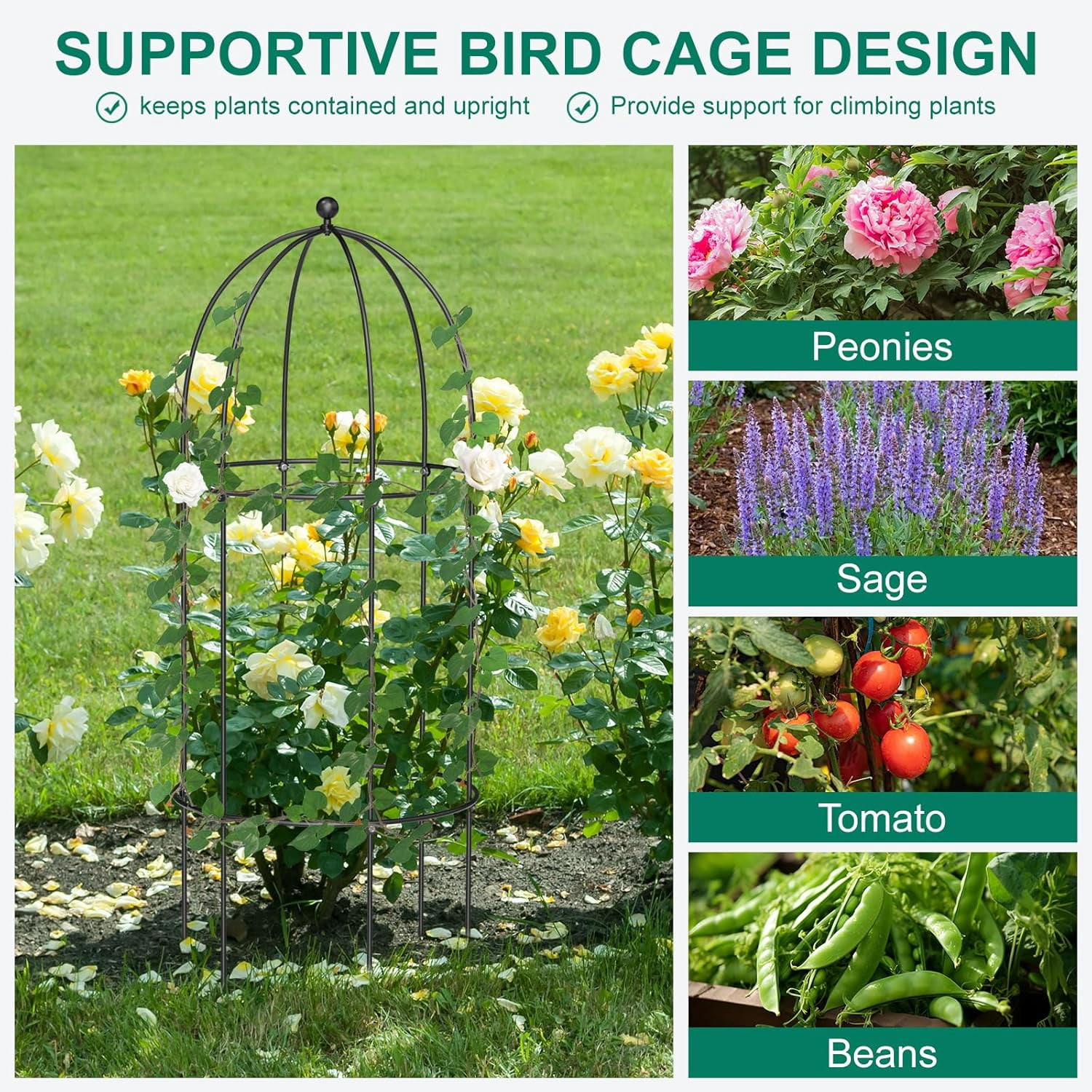 ABORON 3 Pack Garden Trellis for Climbing Plants, 17.7" x 47.2" Metal Rustproof Black Peony Cage, Outdoor Indoor Flowers Potted Obelisk Trellis for Cucumber Vine Lily Rose Plant Support