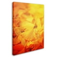 thumbnail image 3 of Trademark Fine Art "Thinking Bubble" Canvas Art by Philippe Sainte-Laudy, 3 of 4