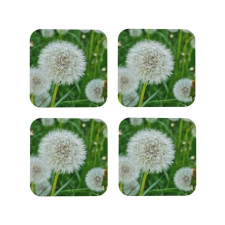 

Tideii Dandelion Flower In The Meadow for Leather Coasters 4 Pieces Anti-fouling and Anti-scalding Decorative Coasters Suitable for Restaurants Kitchens Coffee Shops-Square