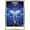 Gold Framed Version, variant on Team USA - Seoul 1988. Games of the XXIV Olympiad. Wall Poster, 22.375" x 34"