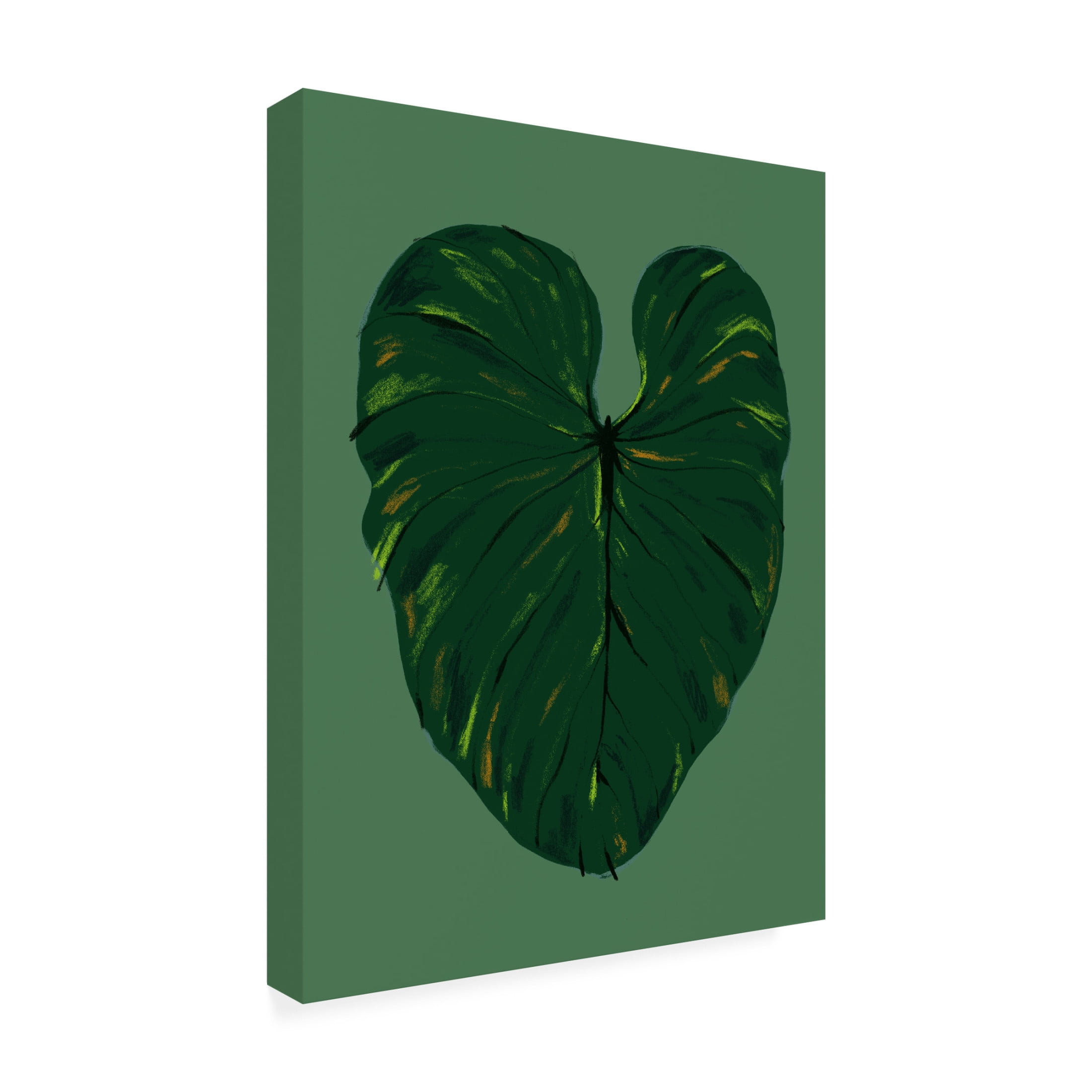 Trademark Fine Art Francesco Gulina Philodendron Gloriosum Green Canvas Wall Art