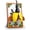 Beetle 425pcs, variant on Insect Flowers Building Set Compatible with Lego 3D Botanical Art Picture Frame Decor for Boys Girls 425 Pcs