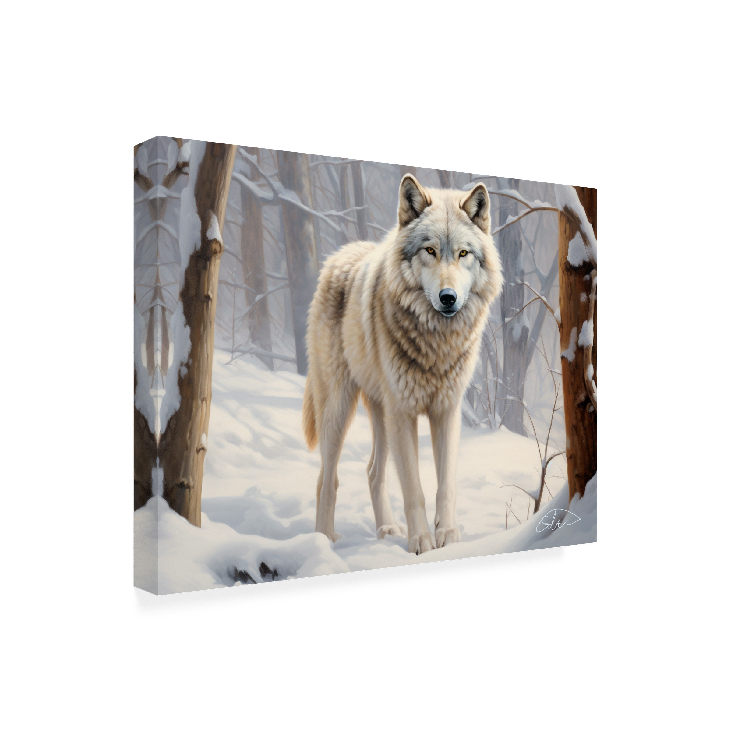 Canvas Wall Art - Stewart 'Hiding In Silence' Wall Art for Living Room, Bedroom, or Office DÃ©cor by Trademark Fine Art - 24 x 18 Inches