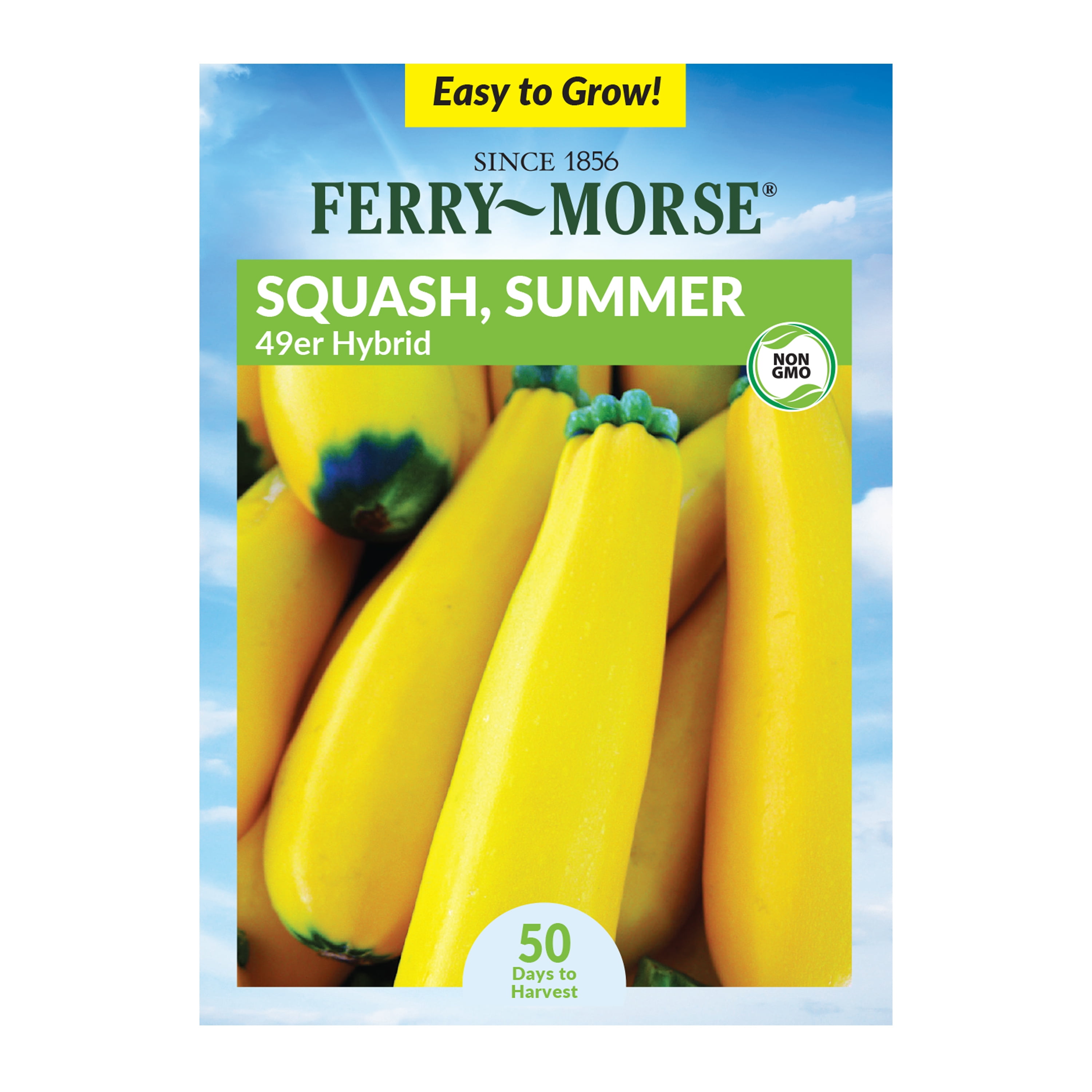 Ferry morse 150mg squash summer 49er hybrid vegetable plants seeds 1 