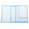 thumbnail image 2 of Dog And Puppy Training Pads, Leakproof, Multilayer Layer Design With Quick-dry Surface Puppy Pads, 2 of 5