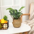 thumbnail image 5 of RjnShan Woven Seagrass Belly Basket for Storage Plant Pot Picnic and Grocery Basket, Woven Storage Basket, Decorative Basket With Handle, 5 of 12