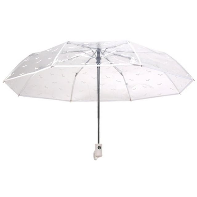 Coofit Clear Umbrella Auto Open: Simple Folding Umbrella Compact Umbrella for Outdoor