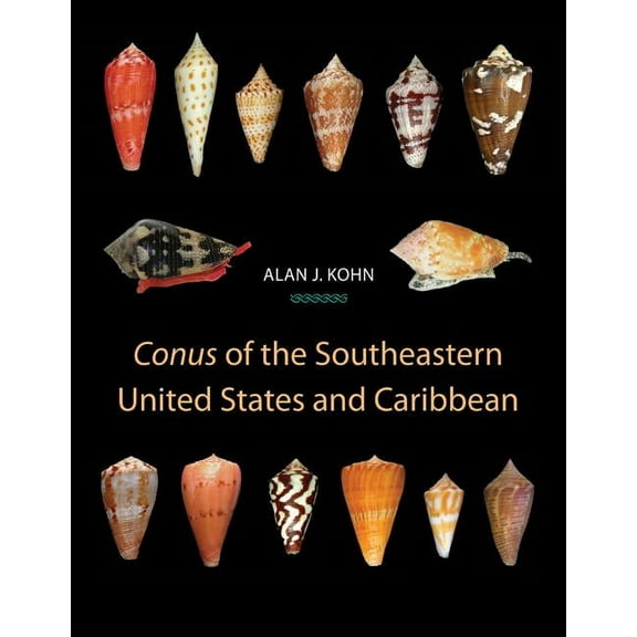 "Conus" of the Southeastern United States and Caribbean, (Hardcover)