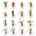 thumbnail image 2 of Guardoinrt Plant Fridge Magnets Fridge Magn-et Decoration Refrigerator Sticker Potted Succulent Plants Magn-et Stickers Cute 16PCS, 2 of 6