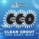 thumbnail image 2 of Cepillos de repuesto para máquinas Grout Groovy, paquete de 3, 2 of 7