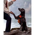 thumbnail image 4 of HAHDAXIA Anti-Pull Dog Harness for Small Dogs, Reflective Soft Padded Dog Harnesses, Adjustable, Breathable Chest Harness with Safe Easy Control Handle, Black, S, 4 of 6