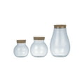 thumbnail image 4 of Creative Co-Op Medium Clear Glass Jar with Cork Lid, 4 of 5