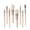 Khaki, variant on Mini Makeup Brushes Set Cosmetics Brush Kit Makeup Tools 8pc