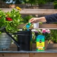 thumbnail image 3 of Miracle-Gro® Water Soluble Plant Food 20-20-20 680 g, 3 of 5