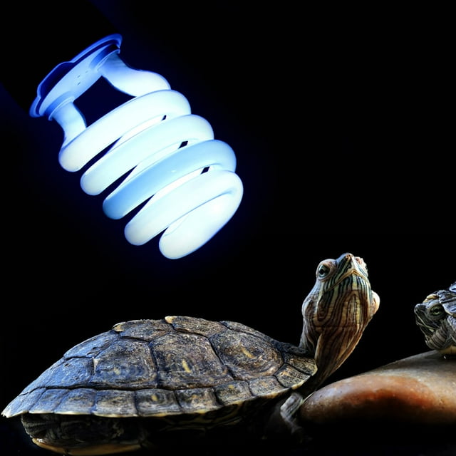 Lámpara UVB para reptiles, E27 26 W Lámpara para reptiles del desierto Lámpara ultravioleta para reptiles Diseño revolucionario