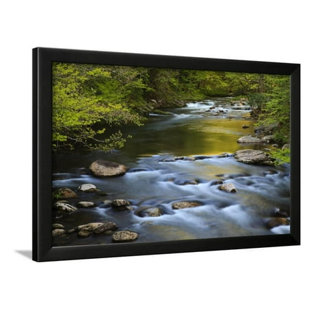 Tennessee, Spring Reflections on Little River at Smoky Mountains NP Framed Print Wall Art By Joanne (Best Spring Hikes In The Smokies)