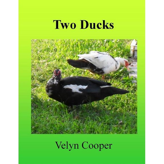 Two Ducks