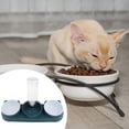 thumbnail image 6 of Cat Food Bowl Water Feeder Raised Detachable PP Material for Puppies Kittens and Pet Feeding Supplies, 6 of 9