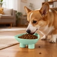 thumbnail image 6 of Cat Bowl Anti-Vomiting Tilted Elevated Cat Food Bowl Whisker Friendly Slanted Feeding Bowls with Shallow & Tall Design Green, 6 of 7