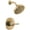 Champagne Bronze, variant on Delta T14235 Saylor Monitor 14 Series Single Function Pressure Balanced Shower Only -