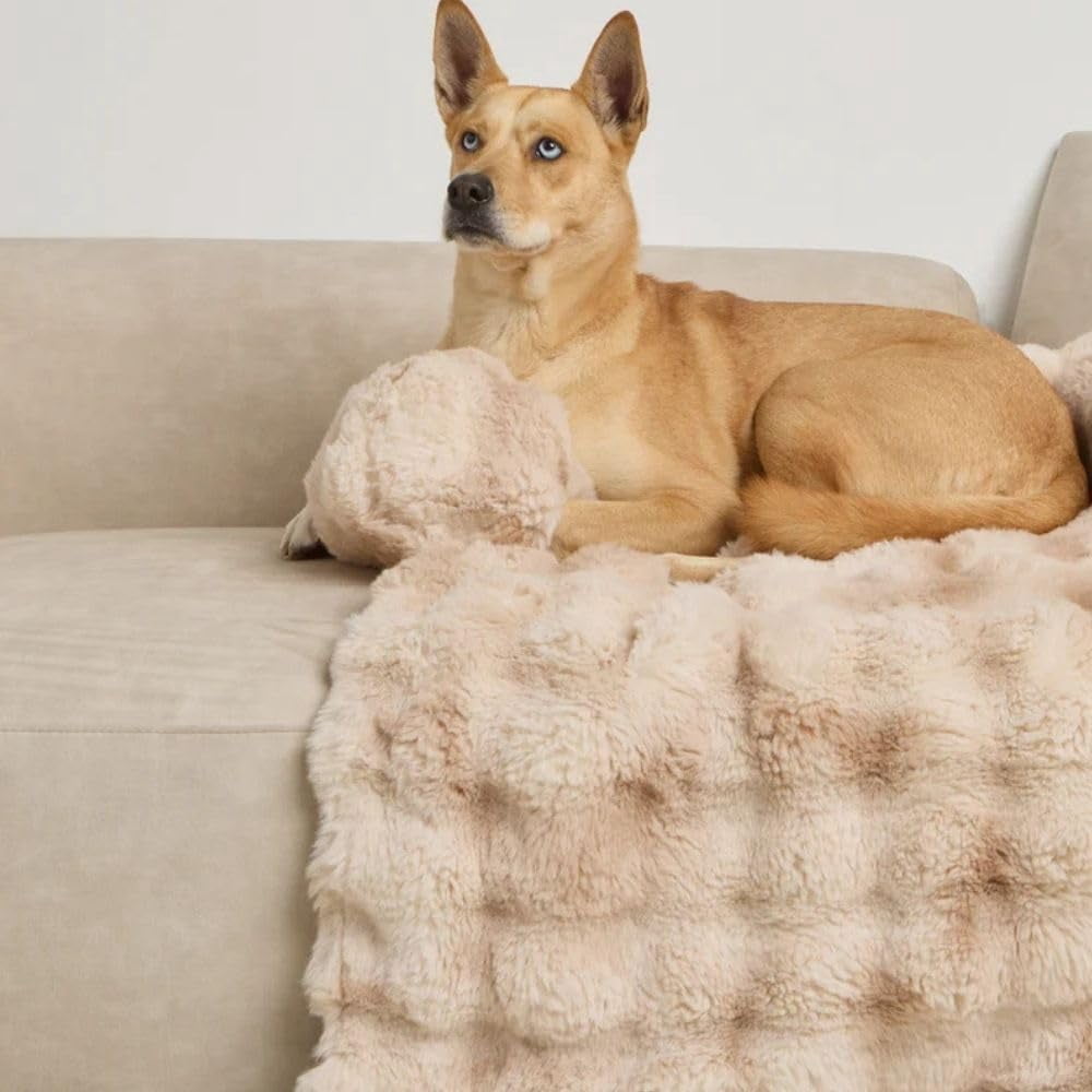 Dream Cloud Pet Sofa Bed – Washable, Waterproof, High-Comfort Orthopedic Plush Dog Mat for Sofa, Car, and Floor
