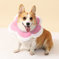 thumbnail image 3 of CSChome Cat Recovery Collar Pet Recovery Collar - Flower Shape, Soft Comfortable, Dog Healing Collar for Post-surgery, 3 of 7