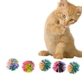 thumbnail image 2 of 5 Unids/pack Bolas Plástico para Gato Masticar Chase Bolas Juguete para, 2 of 8