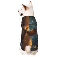 thumbnail image 1 of Balery Cute Butterfly Bear Sudadera con Capucha para Perros Pequeños – Ropa para Mascotas, Disfraz para Perros y Gatos, Ideal para Fiestas y Cosplay-Medium, 1 of 7