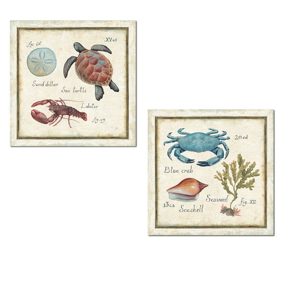 Gango Home Decor Beige Nautical Sand Dollar, Crab, Turtle and Lobster Adult Square Set: 2-12"x12" Unframed Posters