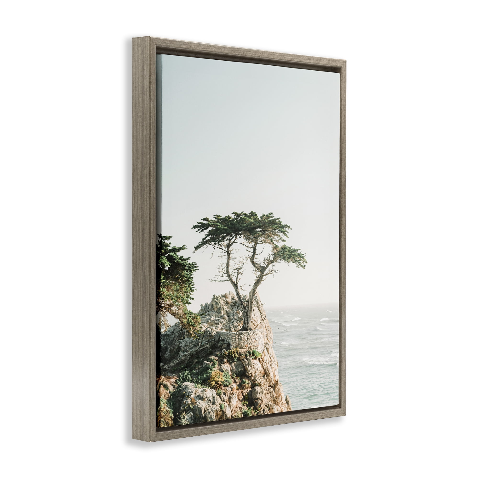 Stupell Industries Tree on Beachside Cliff Nautical & Beach Photography Brown Floater Framed Canvas Art Print Wall Art, 17 x 25
