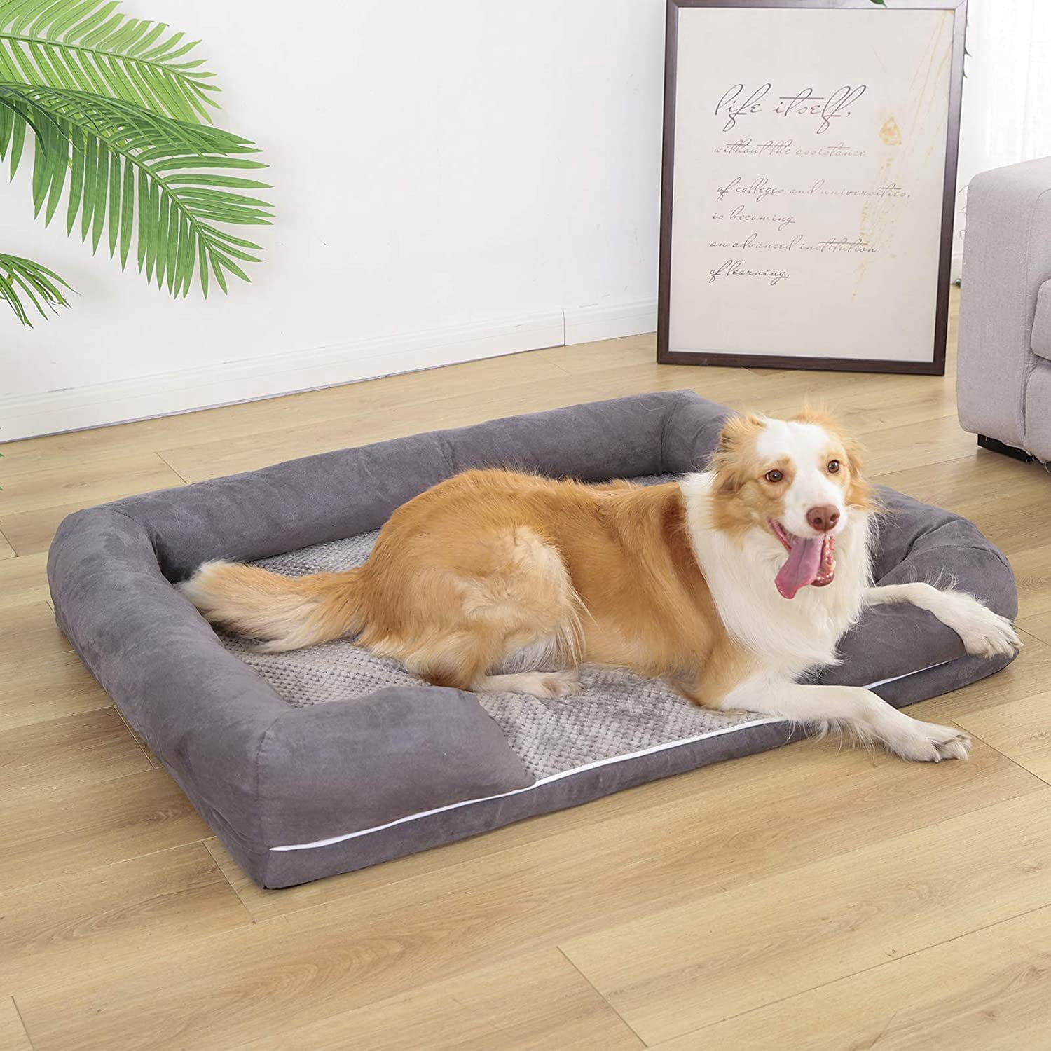 BOLUO Large Bolster Orthopedic Dog Bed Rasied Edges, Waterproof Memory Foam Pet Mat with Removable Washable Cover Anti-Slip