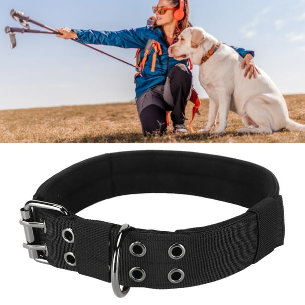 Collar para Perros de Diseñador Collares para Perros Lindos para Niña Mujer Perros Pequeños Medianos y Grandes Collares de Nylon de Seguridad Ajustables Collar para Perros ANGGREK Otros