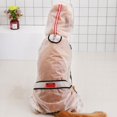 thumbnail image 3 of BEMS-1 pieza impermeable transparente cachorro explosivo Teddy Bichon Frise, 3 of 5