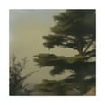 thumbnail image 1 of Cedar Tree Majesty. - Canvas, 1 of 10