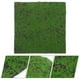 thumbnail image 4 of Micro paisaje musgo Artificial musgo falso Mini jardín paisajismo Prop adorno de musgo Artificial, 4 of 5
