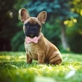 thumbnail image 2 of Jumpress Cute Dog Collar with Bow, Comfortable Girl Dog Bow Tie Collar for Small Medium Dogs (Pink, XS), 2 of 9