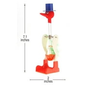 Nature Wonders Glass Drinking Bird