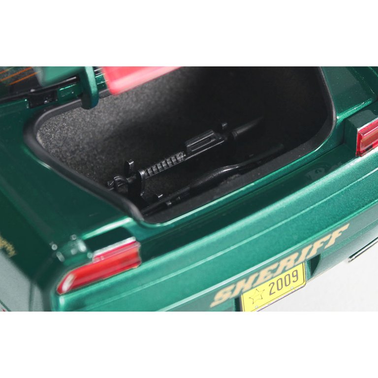 2009 Dodge Challenger R/T Green and White  display picture 1