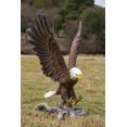 thumbnail image 1 of Figura Hi-Line Gift Ltd Flying Eagle (poliresina, 1,6 kg, 29 x 22 x 30 cm), 1 of 8